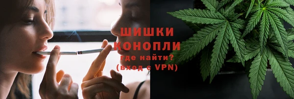 крисы Беломорск