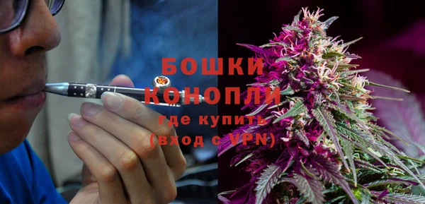 mdpv Белокуриха