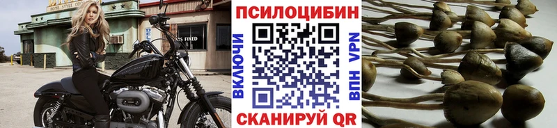купить наркотики сайты  Онега  нарко площадка Telegram  Псилоцибиновые грибы Cubensis 